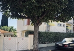 annonce 486370