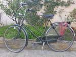 annonce 487833