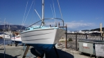 annonce 488147