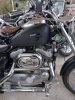 annonce 488447