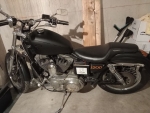annonce 488447