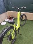 annonce 488830