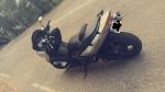 annonce 489001