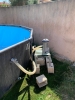 annonce 489739