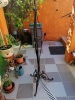 annonce 489923