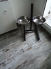 annonce 489974
