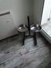 annonce 489974