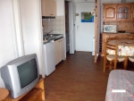 annonce 490196
